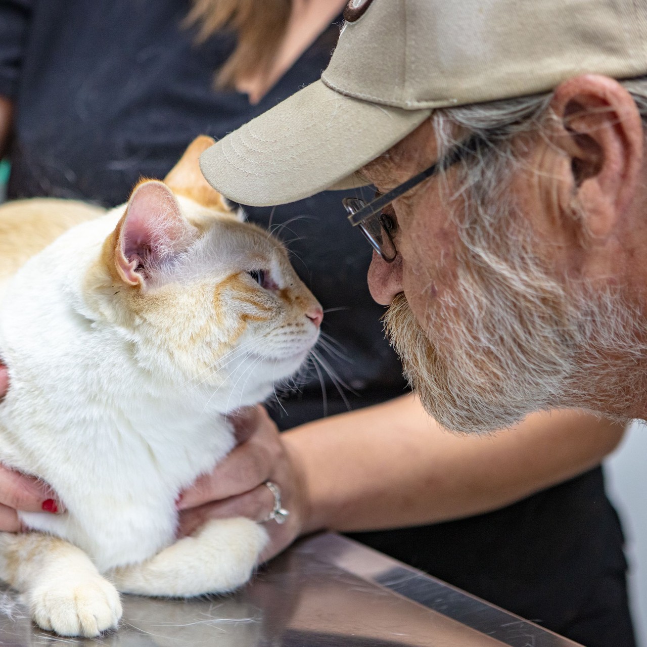 Man comforting his white and orange cat as it's being examined at Napa Humane's Spay/Neuter Clinic.