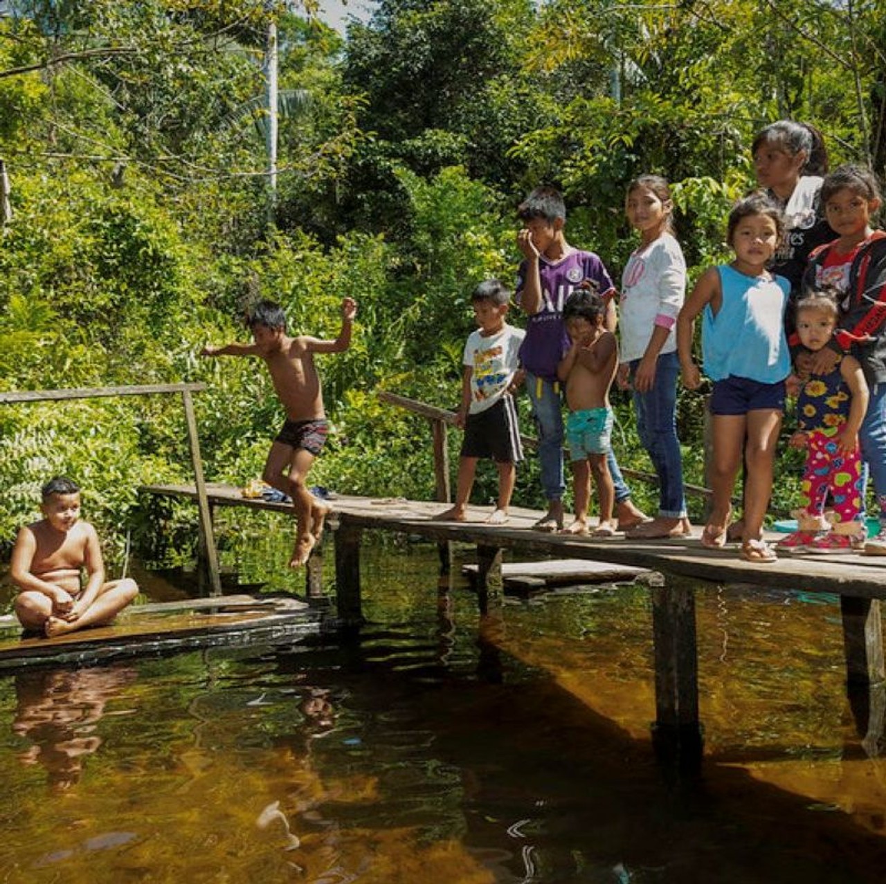 A group of young children stand on a wooden platform over a pond surrounded by forest in the Amazon, watching as one young boy jumps from the platform into the water.